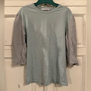 Jay Basics Shirt (Size L) (Blue)